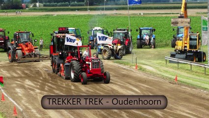 Trekker Trek - 8e editie / Oudenhoorn 2014