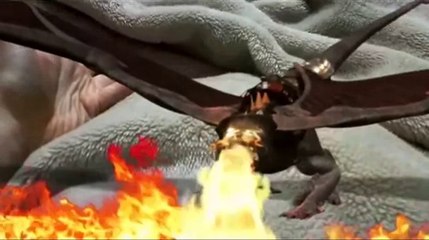 The Perils of having a dragon as a pet.