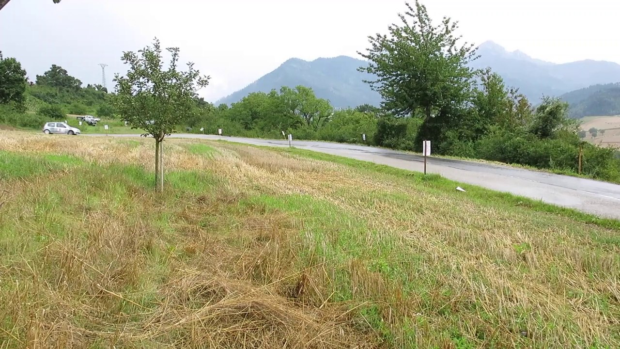 Rallye du Trièves 2014