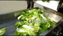 vegetable washing and drying machine dewater line