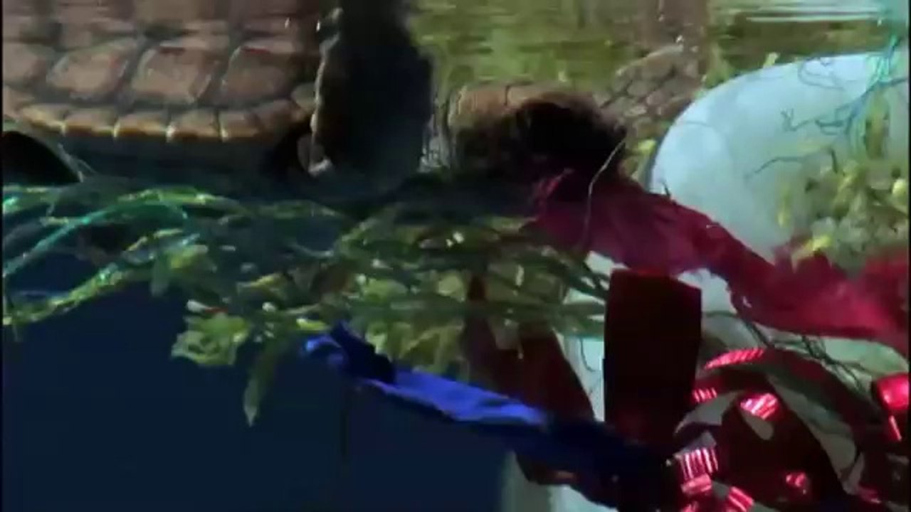 The Majestic Plastic Bag A Mockumentary Vídeo Dailymotion