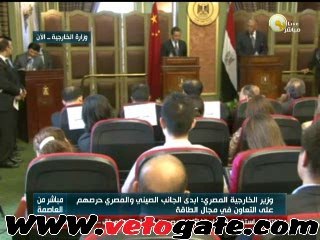 شكري: المبادرة المصرية هي القائمة لحل أزمة غزة