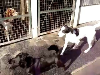 EVE ET APPOLO LE 31 JANVIER 2010