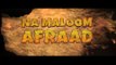 Na Maloom Afraad Official Trailer 2014