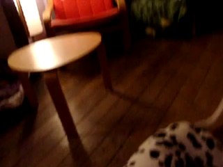 FLOYD LE 26 DECEMBRE 2010