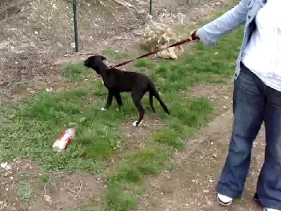 HAITI REBAPTISEE SHADY LE 28 FEVRIER 2010