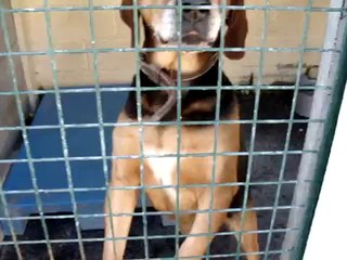 LOULOUS REFUGE 1 LE 25 SEPTEMBRE 2009