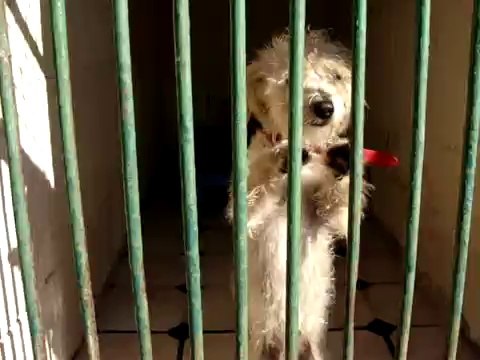 LOULOUS REFUGES 3 LE 24 SEPTEMBRE 2009