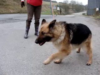 LUNA LE 29 JANVIER 2011