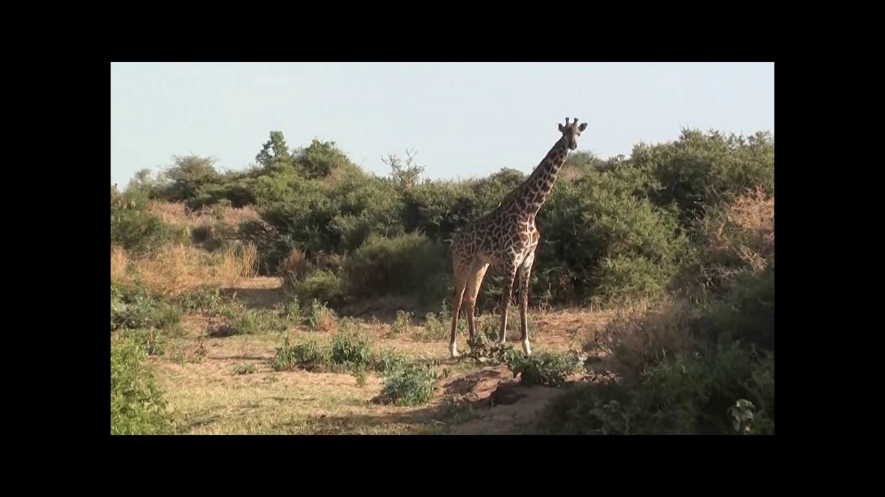 Tanzania