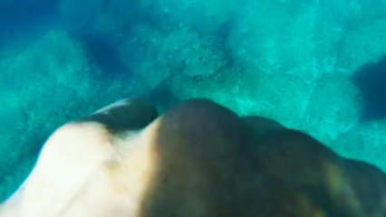 Plongée sur l'ile de Frioul