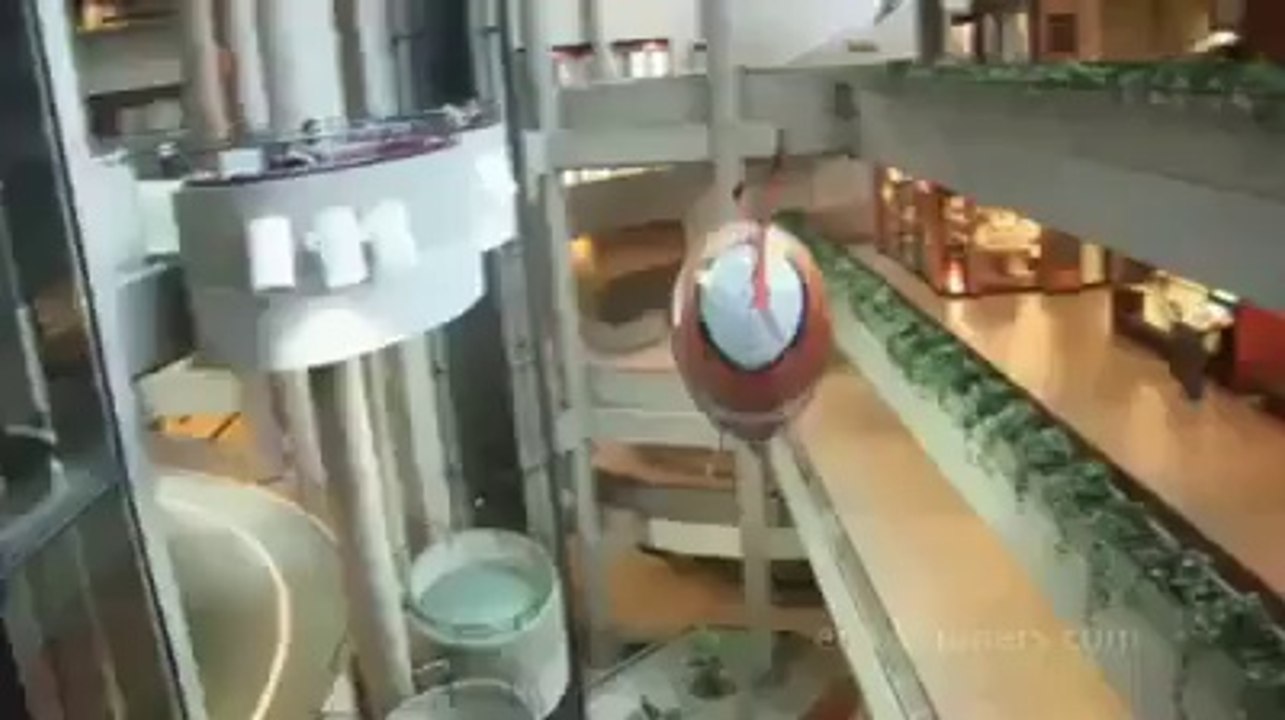 Fake Fish Swimming in House