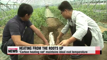 Heating net saving money and time for farmers (2)