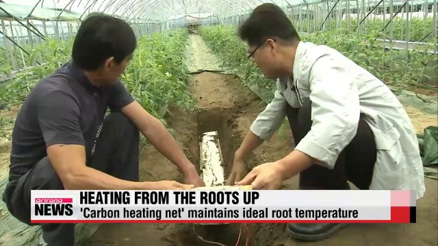 Heating net saving money and time for farmers (2)