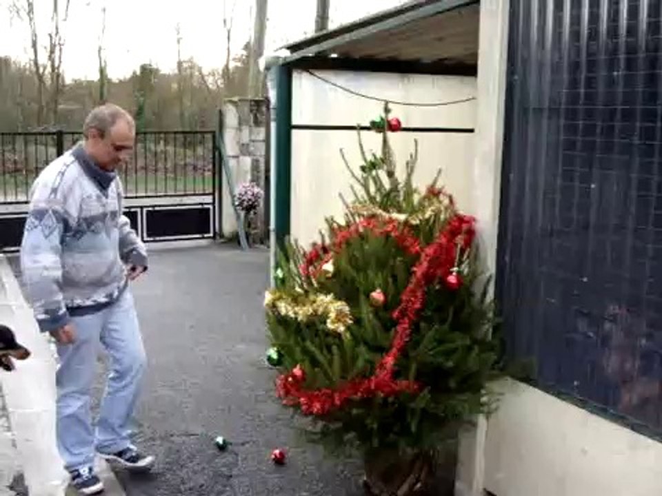 SAPIN DE NOEL LE SAMEDI 5 DECEMBRE 2009