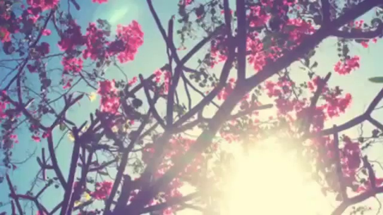 من روائع الشيخ محمد المختار الشنقيطي أبشركم ببشرى خير