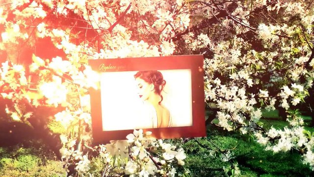 Blossom Beauty - AE Template For Fotos / Royalty Free / Videohive