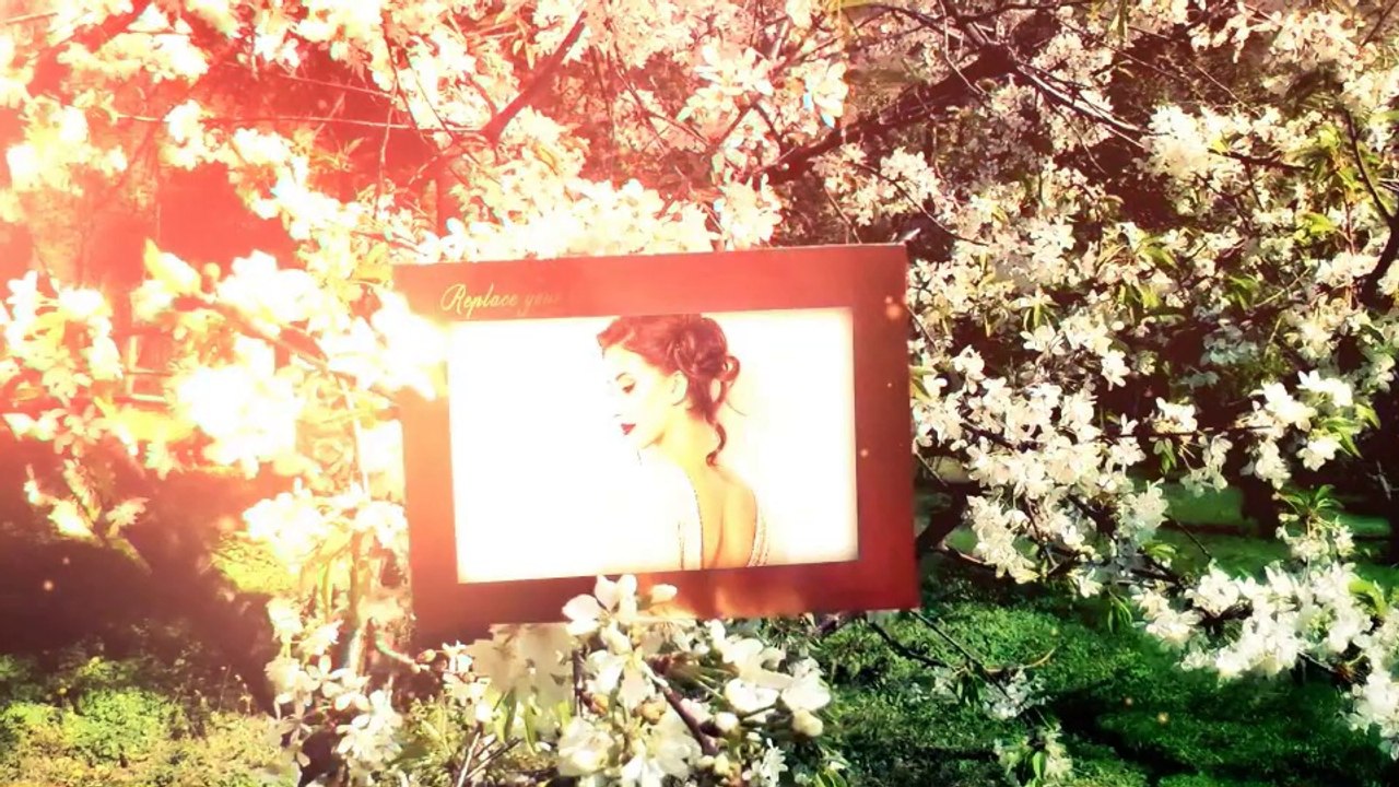 "Blossom Beauty" - AE Template For Fotos / Royalty Free / Videohive