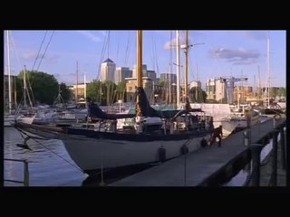 The Disappeared - Trailer