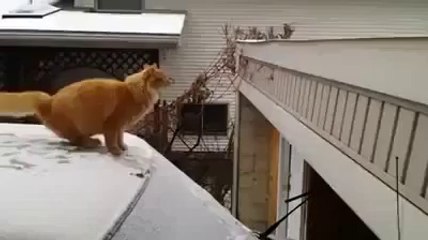 ‪no less than 1000000 LIKES AND SHARE just... - Only Hot Video Clips _ فیس بک‬