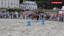 Hippodrome marin. Saint-Efflam a lâché les chevaux !