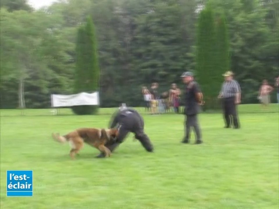 Sport canin à Bar-sur-Seine : De nombreux concurrents au challenge national du Tervueren avec travail en ring