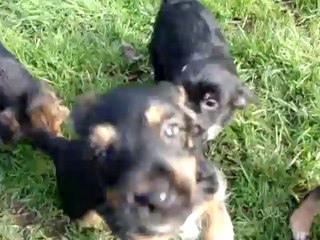 SEANCE DE JEU 1ERE PARTIE LE 20 MARS 2011