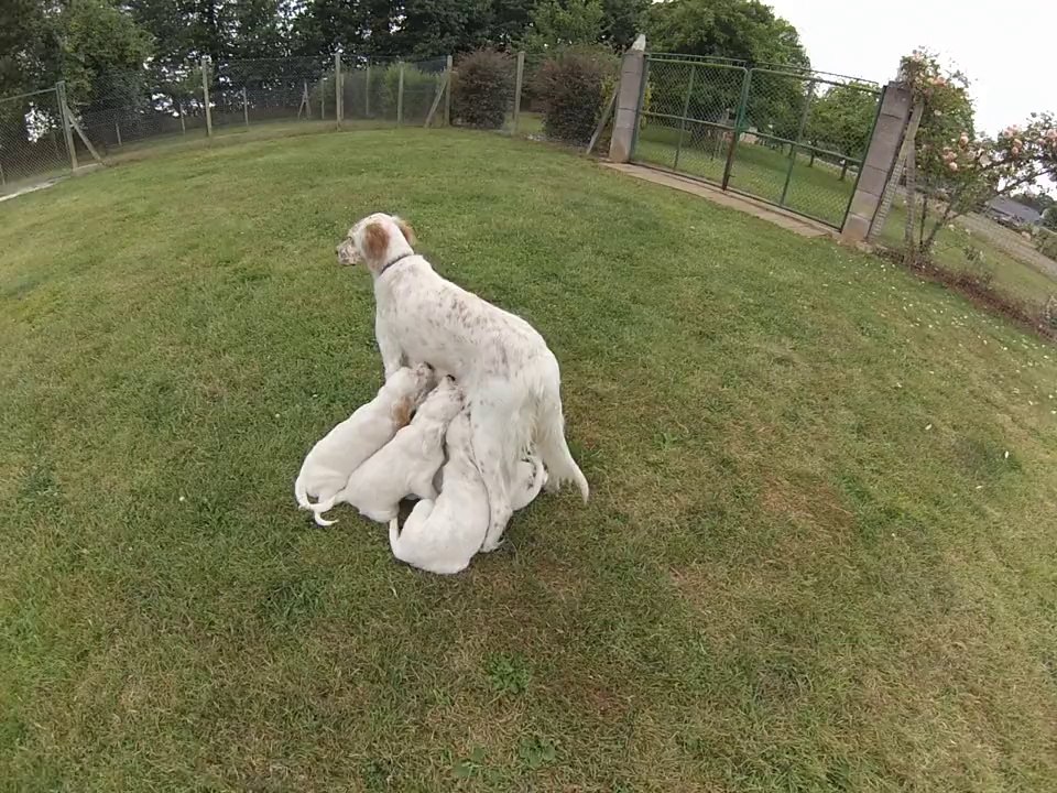 dernière tété