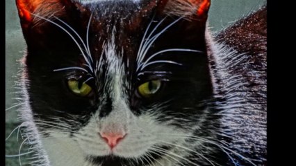 Mon printemps été en image