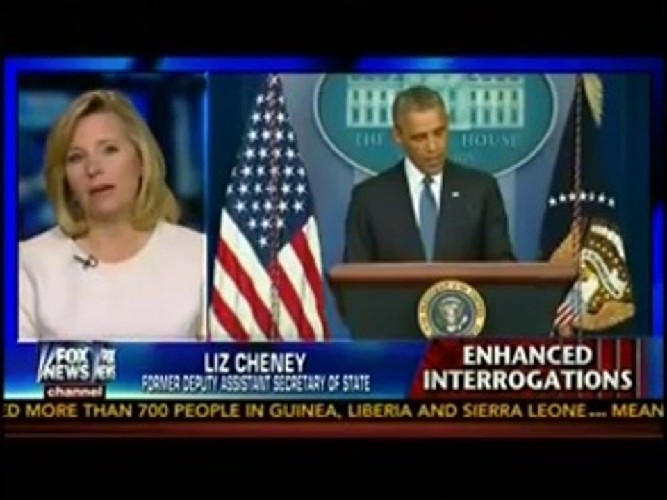 Liz Cheney Calls Obama A 'Disgrace' For Discussing Post-9/11 Torture (VIDEO)