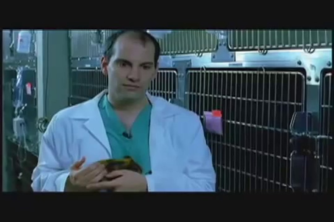 Small Emergencies