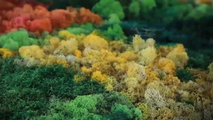 TV3 - 33 recomana - Un jardí japonès: topografies del buit.  Casa Àsia. Pavelló de la Puríssim