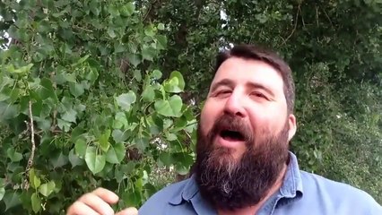 Get 10,000 Fans Fan Page Funnel Review _ Hired 3 New People _ Ron Douglas