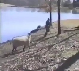 ‪veryyy funnyyyy - Only Hot Video Clips _ فیس بک‬