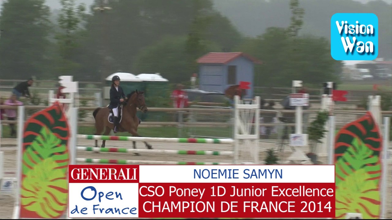 cso poney 1 d junior excellence