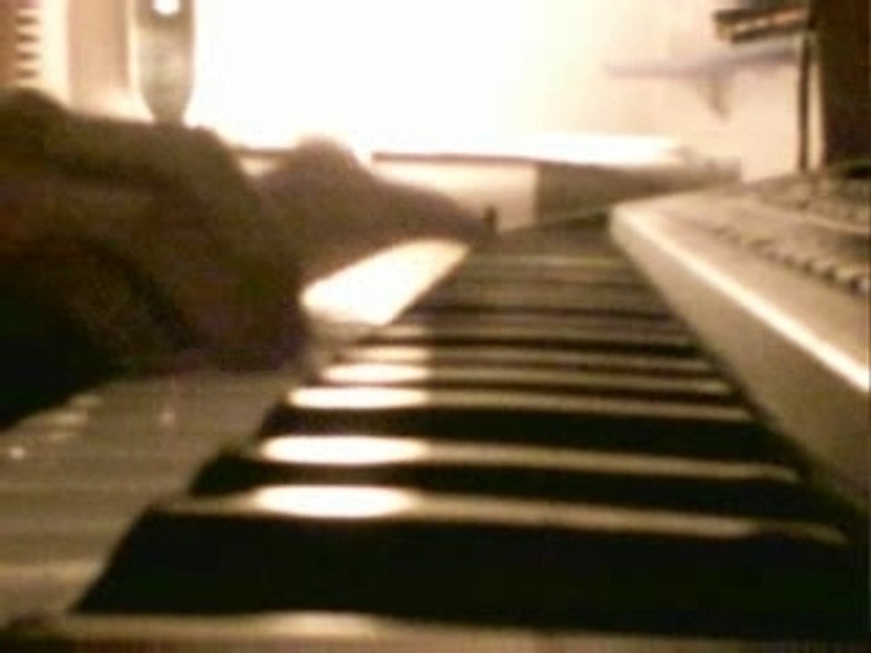 Bleach : Life like Is a boat