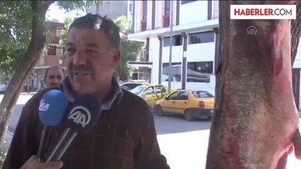 80 kilogramlık yayın balığı yakalandı -