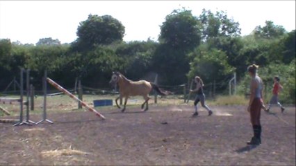 Ben Harper Des Aucels