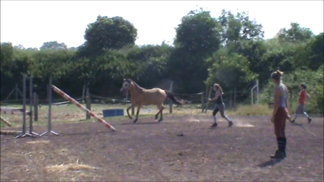 Ben Harper Des Aucels