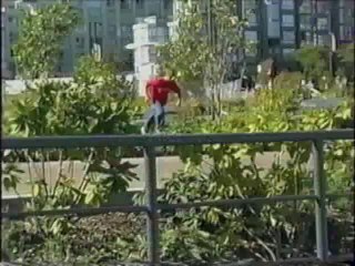 Platinum - Crimes & Misdemeanors