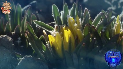 ♛♫♥Spark7 - Still Believe (Original Mix)♥♫♛