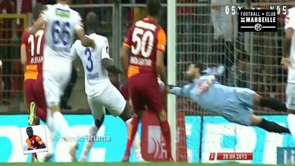 présentation de Bruma