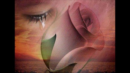 Gül Düşer Yüreğimden - Meryem Maman