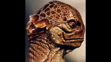 REPTILIANOS CONTRA FELINOS