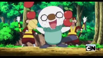 Pokemon Tepig, Oshawott, Snivy and Minccino (Waka waka) This time for Africa