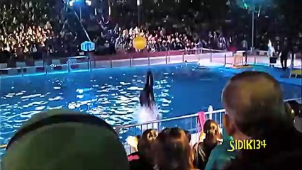 Karachi Documentary Film - ADEEL FAZIL