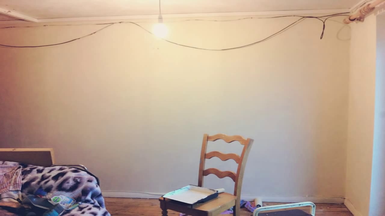 ★ Decorating for a Dog? ★