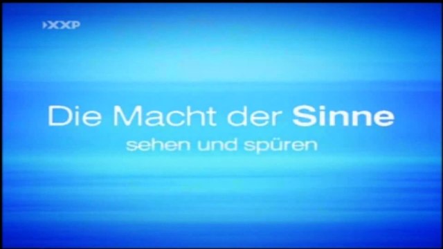 Die Macht der Sinne - 3v3 - Sehen und Spüren - by ARTBLOOD