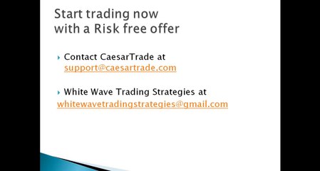 White Wave Strategies Introduction