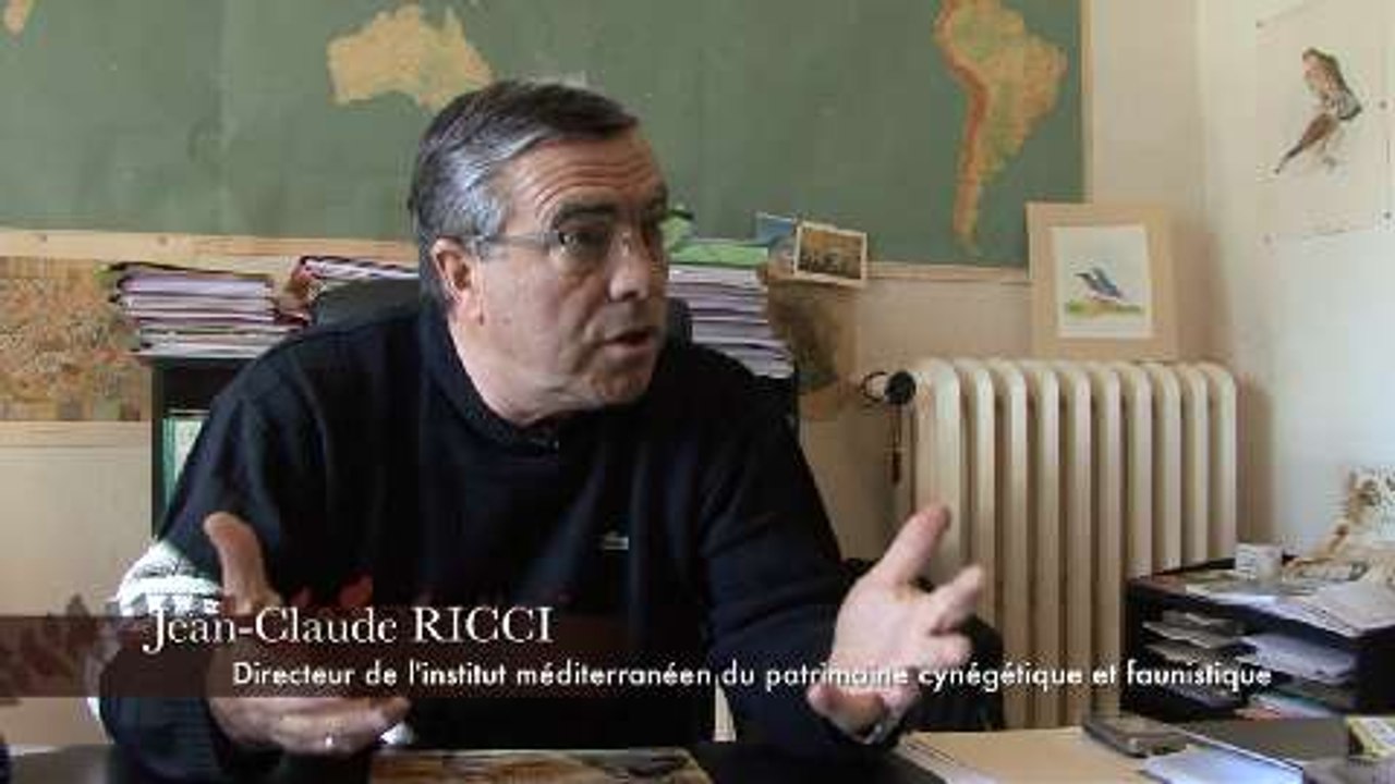 Interview Ricci